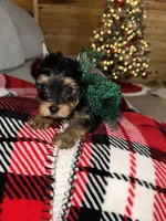 processed/25b59439-6e37-4254-b6d5-573ca47bebb7/listing/f53c6444-bba4-4a1e-a94f-32ea427180e2/2068f0b4-bcfc-4675-89a4-2551dc3157a4