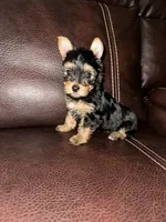 processed/25b59439-6e37-4254-b6d5-573ca47bebb7/listing/f53c6444-bba4-4a1e-a94f-32ea427180e2/641a1898-a648-4da9-a8a0-dbd5c6b9927c