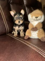 processed/25b59439-6e37-4254-b6d5-573ca47bebb7/listing/f53c6444-bba4-4a1e-a94f-32ea427180e2/909ac8e5-1bdd-40c9-9d80-992d006495e4