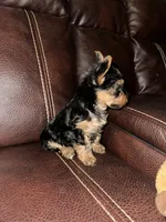 processed/25b59439-6e37-4254-b6d5-573ca47bebb7/listing/f53c6444-bba4-4a1e-a94f-32ea427180e2/e82c98a8-ca4b-4896-bd2c-15770c632c80