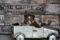 processed/25b7e00f-32f2-4a1d-8b70-00f5f644df91/listing/1d52f15b-f586-44c4-904c-73964f692d4b/15540937-0b06-423f-ae68-6aff8f3cbad2