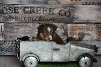 processed/25b7e00f-32f2-4a1d-8b70-00f5f644df91/listing/1d52f15b-f586-44c4-904c-73964f692d4b/325c6f7b-9952-4758-b5da-407d222a5e91