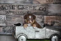 processed/25b7e00f-32f2-4a1d-8b70-00f5f644df91/listing/1d52f15b-f586-44c4-904c-73964f692d4b/53e2733a-9c8a-45db-9631-5e5e7d3909e4