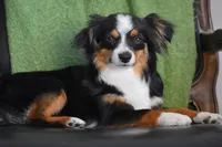 processed/25b7e00f-32f2-4a1d-8b70-00f5f644df91/listing/c0ef0222-17e0-4e0b-860c-0a7e2f8fa700/78ed8c74-96cc-46be-ad97-c36a11051d42