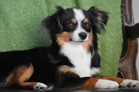 processed/25b7e00f-32f2-4a1d-8b70-00f5f644df91/listing/c0ef0222-17e0-4e0b-860c-0a7e2f8fa700/8b339b2f-d0ad-4e4f-9ed8-8000727750d1