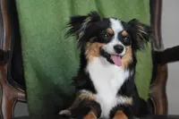 processed/25b7e00f-32f2-4a1d-8b70-00f5f644df91/listing/c0ef0222-17e0-4e0b-860c-0a7e2f8fa700/ad3b0765-b0e7-40d5-ac96-39ebfcc5a0c1