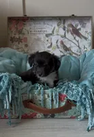 processed/25b7e00f-32f2-4a1d-8b70-00f5f644df91/listing/c1b16465-31b9-41c6-8824-bb9363900d66/d8e032a3-bb82-42f3-b610-fa01764b0ff8