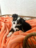 processed/25b7e00f-32f2-4a1d-8b70-00f5f644df91/listing/d6723a50-ca4e-4f52-b554-9d8d21fb9132/8a8d7043-c6cb-4eb3-adac-98502e68e41d