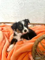 processed/25b7e00f-32f2-4a1d-8b70-00f5f644df91/listing/d6723a50-ca4e-4f52-b554-9d8d21fb9132/dbab8c2a-b1be-4a89-8a5c-49b41f0f1023