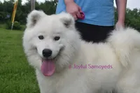 processed/25c1bcf2-43c0-4e2f-959c-1626598edd9c/listing/12ab5856-281a-4604-96d4-d56e6b95f019/8e3e3196-8ca9-4361-9fac-172bc57949d0