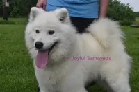 processed/25c1bcf2-43c0-4e2f-959c-1626598edd9c/listing/12ab5856-281a-4604-96d4-d56e6b95f019/96e037a6-8ccb-4285-a722-d0f0f82e50d3