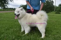 processed/25c1bcf2-43c0-4e2f-959c-1626598edd9c/listing/12ab5856-281a-4604-96d4-d56e6b95f019/cea58e0a-3250-423f-9b54-15400ebbd311