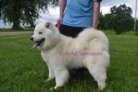 processed/25c1bcf2-43c0-4e2f-959c-1626598edd9c/listing/12ab5856-281a-4604-96d4-d56e6b95f019/d6cbeeb2-864e-4c01-a69a-ab4067681a19