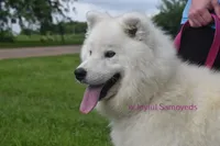 processed/25c1bcf2-43c0-4e2f-959c-1626598edd9c/listing/12ab5856-281a-4604-96d4-d56e6b95f019/fa8c368e-1f10-4493-bea7-0c1010ebd82f