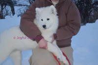 processed/25c1bcf2-43c0-4e2f-959c-1626598edd9c/listing/32c47099-3abb-40b4-9753-2269ae308fe5/713c21f6-002d-46cf-8acf-9a96babb0c47