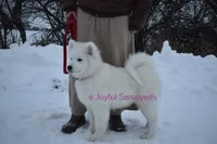 processed/25c1bcf2-43c0-4e2f-959c-1626598edd9c/listing/32c47099-3abb-40b4-9753-2269ae308fe5/7cbc2426-a4d4-4e06-9f94-532b06a21e25