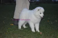 processed/25c1bcf2-43c0-4e2f-959c-1626598edd9c/listing/32c47099-3abb-40b4-9753-2269ae308fe5/b8799dc4-5739-4df1-b2f9-1aaf67d113e8