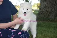 processed/25c1bcf2-43c0-4e2f-959c-1626598edd9c/listing/32c47099-3abb-40b4-9753-2269ae308fe5/b9a73769-3cca-499a-b058-6ce19e74a6d5