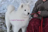 processed/25c1bcf2-43c0-4e2f-959c-1626598edd9c/listing/32c47099-3abb-40b4-9753-2269ae308fe5/c96a3af4-17f2-4081-b3dc-757c2096b565