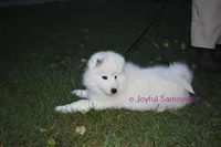 processed/25c1bcf2-43c0-4e2f-959c-1626598edd9c/listing/32c47099-3abb-40b4-9753-2269ae308fe5/f0a05ca7-194c-4b5e-8060-d50f80ed9116