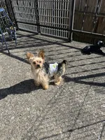 processed/25c52813-f528-41b0-b7f5-506c749dacda/facility/3f6eab29-8cbc-4002-8a16-fd6d00a1f5ca