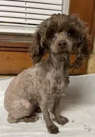 processed/25c52813-f528-41b0-b7f5-506c749dacda/facility/e3a58d53-0820-4b05-9b4d-9759106759bb