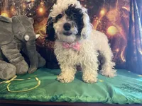 processed/25c52813-f528-41b0-b7f5-506c749dacda/facility/ee6e0e4d-e091-472b-9f1b-c44ef3575e60