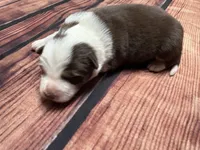 processed/25d127cc-d064-4e0f-b002-530675fea1bc/listing/3e04cff7-f49e-454b-80af-2ff94894123f/19ec2a18-1250-4f82-9d97-73507c482426