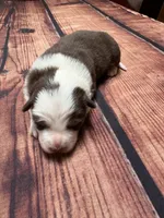 processed/25d127cc-d064-4e0f-b002-530675fea1bc/listing/3e04cff7-f49e-454b-80af-2ff94894123f/25bd1d1e-cdd8-4d67-90c7-634507565384