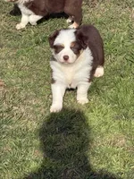 processed/25d127cc-d064-4e0f-b002-530675fea1bc/listing/3e04cff7-f49e-454b-80af-2ff94894123f/4c94c0bd-dc21-4df8-bc23-0ffcc95c200e