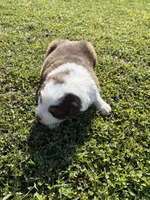 processed/25d127cc-d064-4e0f-b002-530675fea1bc/listing/3e04cff7-f49e-454b-80af-2ff94894123f/5a272cca-6fea-4bed-a11b-a938381135a4