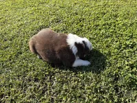 processed/25d127cc-d064-4e0f-b002-530675fea1bc/listing/3e04cff7-f49e-454b-80af-2ff94894123f/714096fd-d678-411d-b1bc-f197aa2fac54