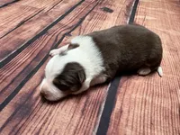 processed/25d127cc-d064-4e0f-b002-530675fea1bc/listing/3e04cff7-f49e-454b-80af-2ff94894123f/7dbef314-956a-48eb-b535-ca7421268cd6