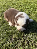 processed/25d127cc-d064-4e0f-b002-530675fea1bc/listing/3e04cff7-f49e-454b-80af-2ff94894123f/9be50e11-4078-4729-a402-0f1fa81e3aee