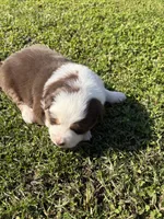 processed/25d127cc-d064-4e0f-b002-530675fea1bc/listing/3e04cff7-f49e-454b-80af-2ff94894123f/fd4b6a4e-da03-4fd3-b87d-62cf8f8861b3