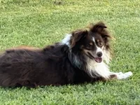 processed/25d127cc-d064-4e0f-b002-530675fea1bc/listing/9aa6ba3c-a503-424c-be14-f0b14b94a00f/4a9f9f79-d87a-4431-a2f5-fb9330c05a23