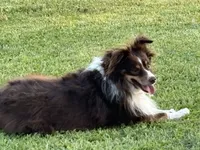 processed/25d127cc-d064-4e0f-b002-530675fea1bc/listing/9aa6ba3c-a503-424c-be14-f0b14b94a00f/76ef2dc7-ecfa-4021-b2e3-3c6b13502237