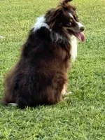 processed/25d127cc-d064-4e0f-b002-530675fea1bc/listing/9aa6ba3c-a503-424c-be14-f0b14b94a00f/86e487a3-16bb-4c87-b582-aa020b9b427e