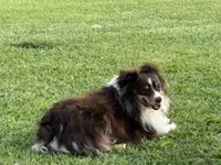 processed/25d127cc-d064-4e0f-b002-530675fea1bc/listing/9aa6ba3c-a503-424c-be14-f0b14b94a00f/bdccf371-f3cf-4970-8e0b-63f07273bf5e