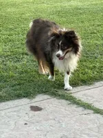 processed/25d127cc-d064-4e0f-b002-530675fea1bc/listing/9aa6ba3c-a503-424c-be14-f0b14b94a00f/d6929d59-d10c-49ab-ba0d-9b7782977c66