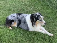 processed/25d127cc-d064-4e0f-b002-530675fea1bc/listing/f7018991-c925-4273-b17e-a22b3b4e3f37/35703d08-d6d7-472e-85f9-2a8a58a43fbf