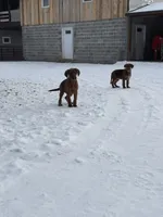 processed/25d9b1a1-75d2-4fea-9d9a-ae863479765a/listing/1129400a-b8a2-4d23-be3f-193c5ae81377/a61f1665-d3c4-4354-9a37-6ec8895bc059