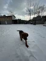 processed/25d9b1a1-75d2-4fea-9d9a-ae863479765a/listing/1129400a-b8a2-4d23-be3f-193c5ae81377/b94f0a0c-39d0-44d7-95ba-0df54ae83a11