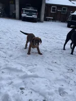 processed/25d9b1a1-75d2-4fea-9d9a-ae863479765a/listing/1129400a-b8a2-4d23-be3f-193c5ae81377/cca8f537-a7f0-443d-b865-5e138e3cdefd