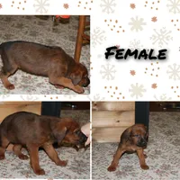 processed/25d9b1a1-75d2-4fea-9d9a-ae863479765a/listing/1129400a-b8a2-4d23-be3f-193c5ae81377/fd5bcaa9-1ec2-43fd-b90a-4f22b1966add