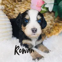 processed/25dec78e-2658-43ff-91c9-44296fca8aa7/facility/88cde430-766e-449e-b1af-ab5fabbf6f84