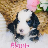 processed/25dec78e-2658-43ff-91c9-44296fca8aa7/facility/acb0aa4a-b42a-4deb-8260-fa0739d2e4aa