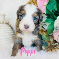 processed/25dec78e-2658-43ff-91c9-44296fca8aa7/facility/ece04acf-997f-49f0-b206-f1cf7c791fec