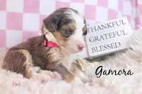 processed/25dec78e-2658-43ff-91c9-44296fca8aa7/listing/1d964ea8-a072-4d79-999e-a85874c9014c/20c1f70a-f166-42bf-8e1e-d5b029ec5a09