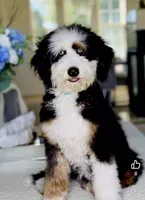 processed/25dec78e-2658-43ff-91c9-44296fca8aa7/listing/8d30e8ad-d665-4502-b9c1-e22b871a3368/fd0e65bd-211a-4628-ad34-43c0a3cff106